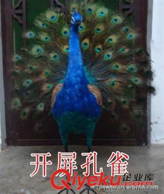 永嘉县嘉文教学仪器设备 幼儿室内玩具与教学器材一站式解决方案